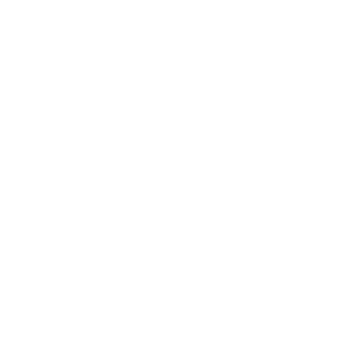 Vida Pets